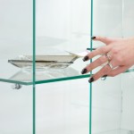 Glass+Shelves+iStock_000011497830Small